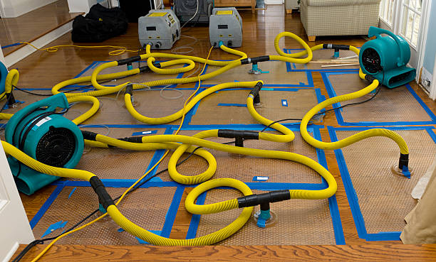 Professional Burst Pipe Water Damage technician working in Wellington, AL